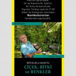 Flowers, Plants and Colors in Mythology and Art